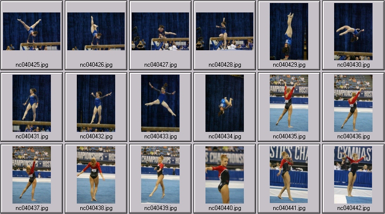 Florida - Oklahoma womens gymnastics