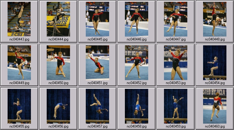 Florida - Oklahoma womens gymnastics