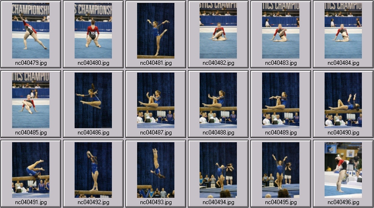 Florida - Oklahoma womens gymnastics