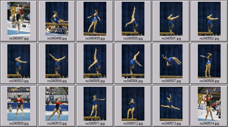 Florida - Oklahoma womens gymnastics