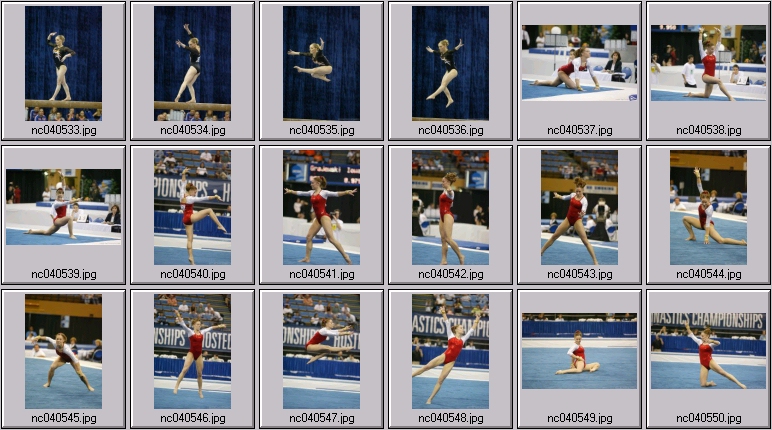 Florida - Oklahoma womens gymnastics
