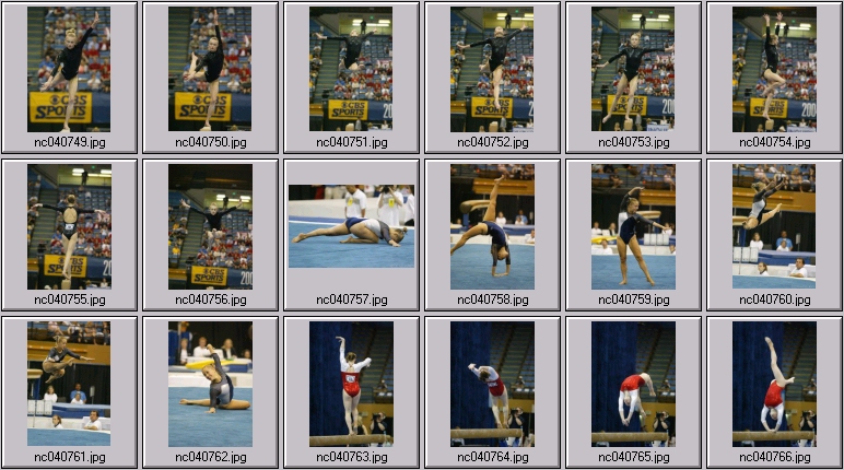 stanford cardinal, iowa gymnastics