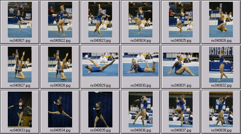 ncaa gymnastics