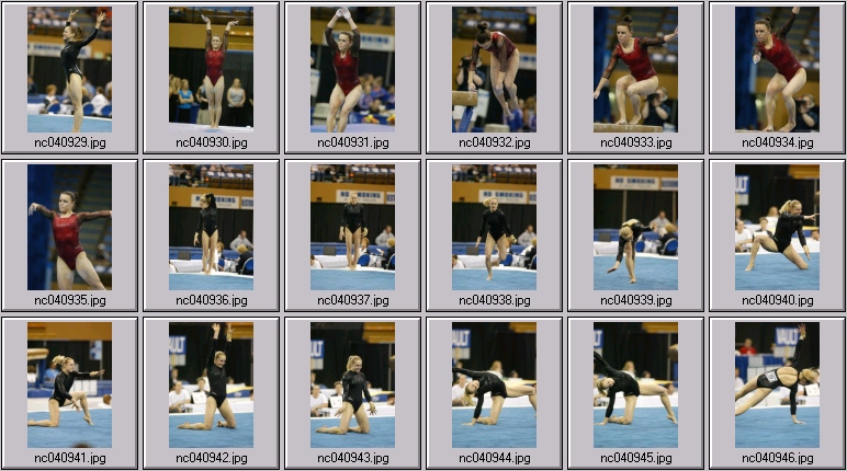 womens gymnastics