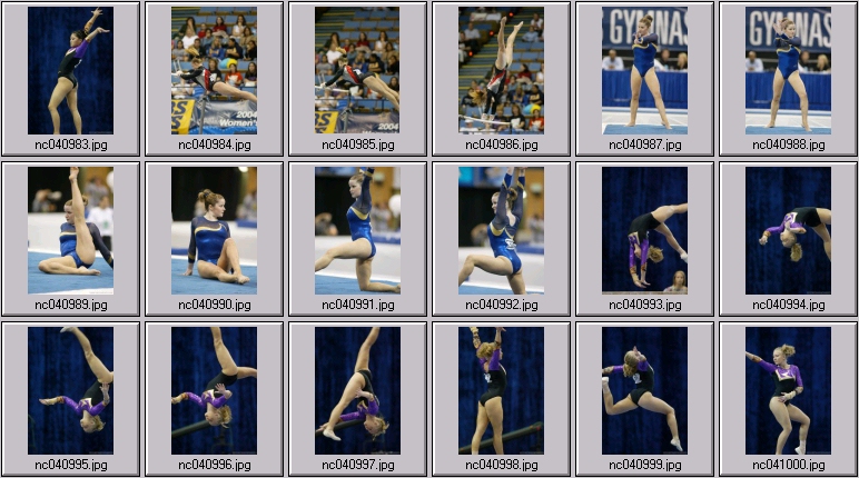 ucla gymnastics