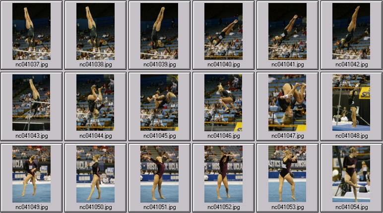 sundevils gymnastics