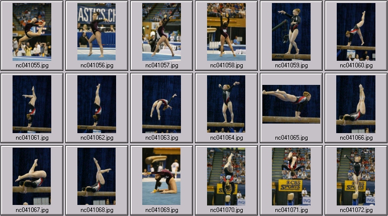 sundevils gymnastics