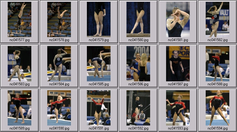 florida gymnastics