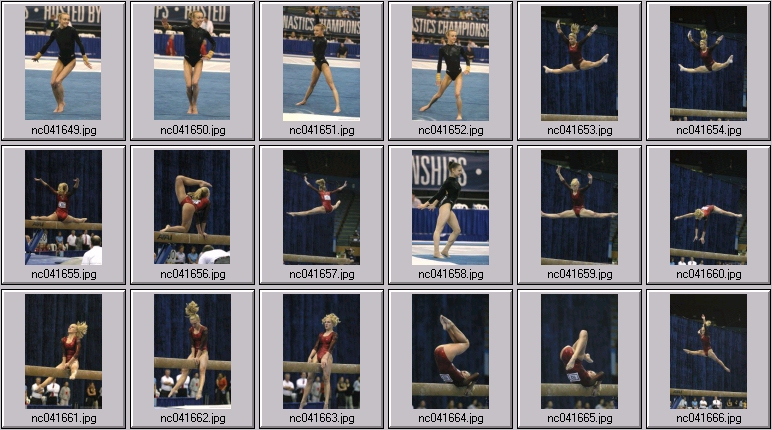 stanford gymnastics