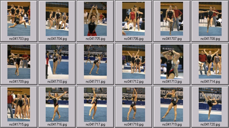 utah gymnastics