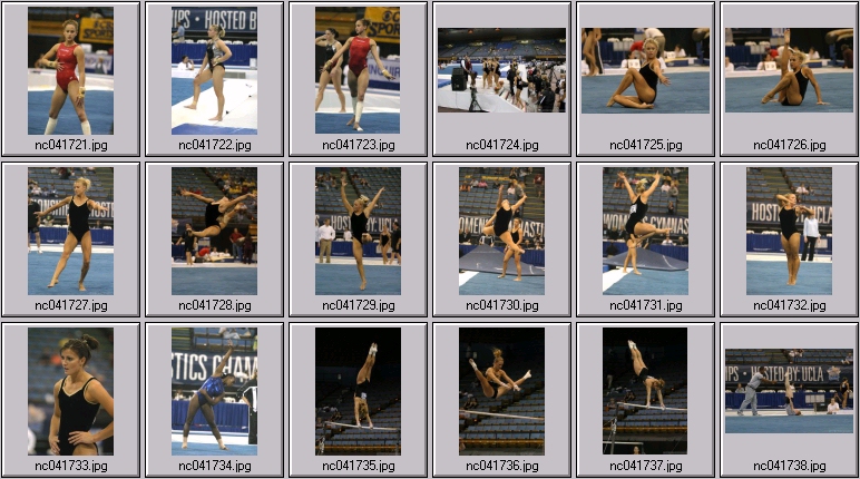 utah gymnastics