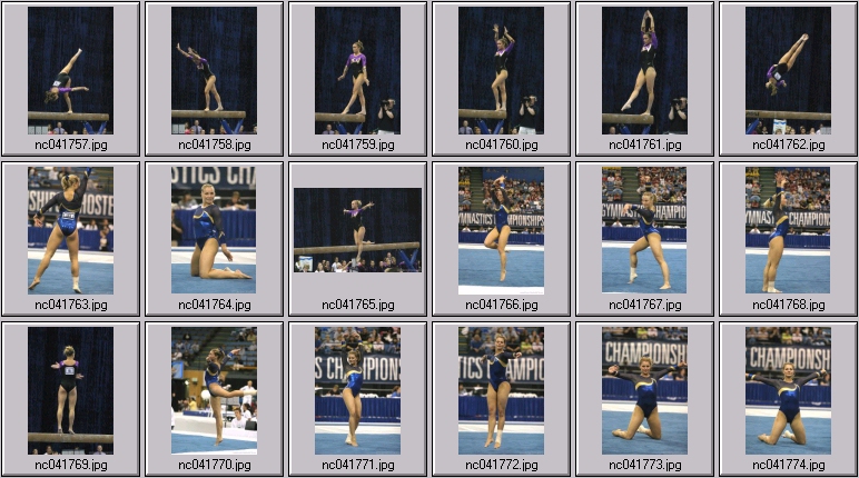 lsu tiger gymnastics