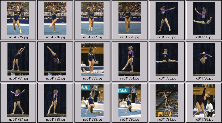 florida gator gymnastics