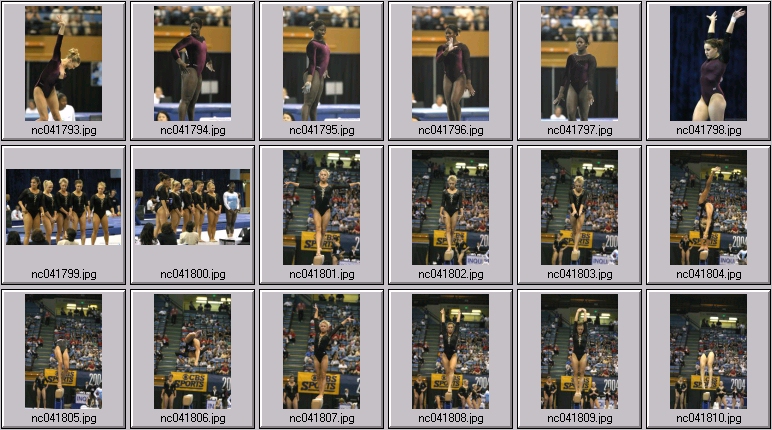 florida gator gymnastics