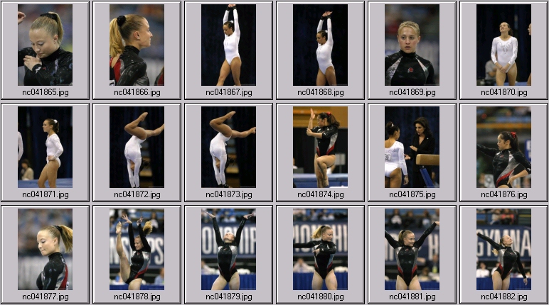 ucla gymnastics