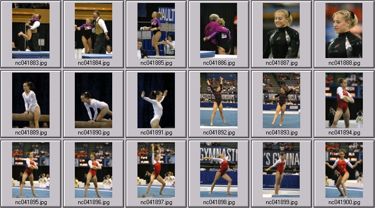 utah gymnastics