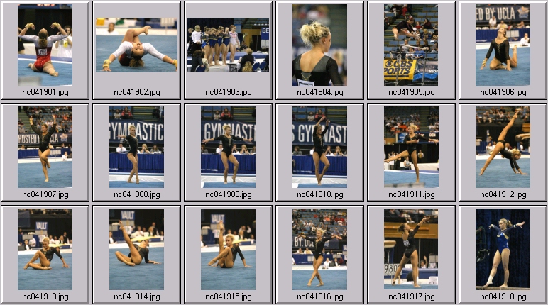 iowa gymnastics