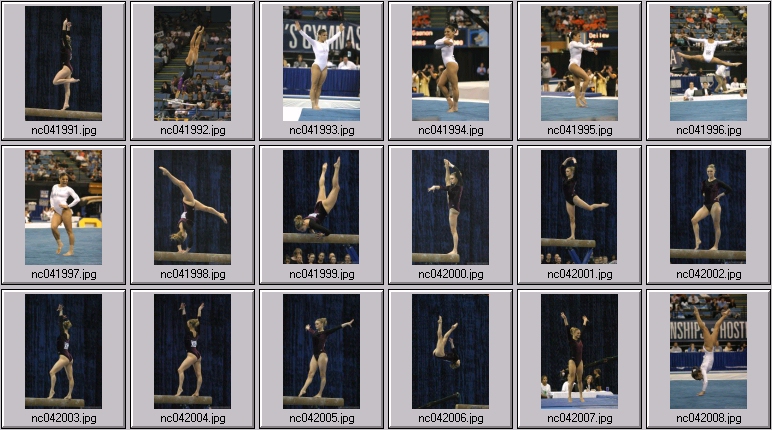 ucla gymnastics