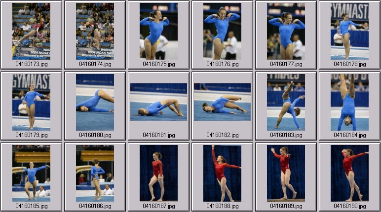 bruins gymnastics