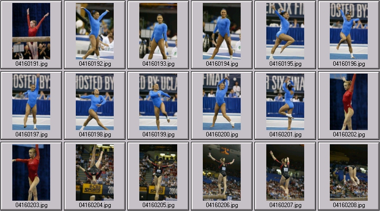 bruins gymnastics