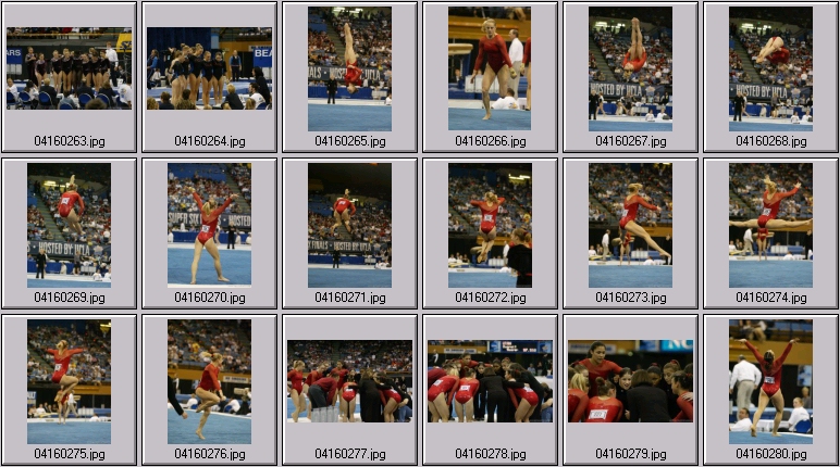 university gymnastics