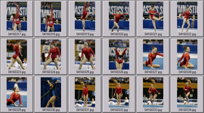 florida gymnastics