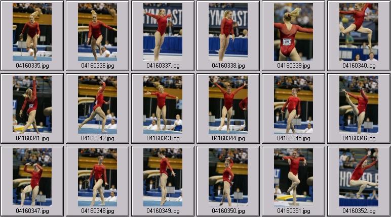 stanford gymnastics