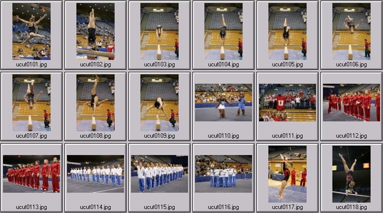 ucla women's gymnastics