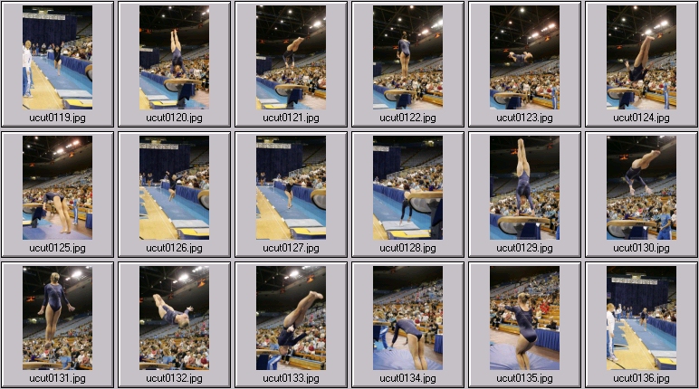 ucla women's gymnastics