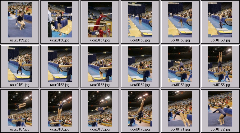 ucla women's gymnastics