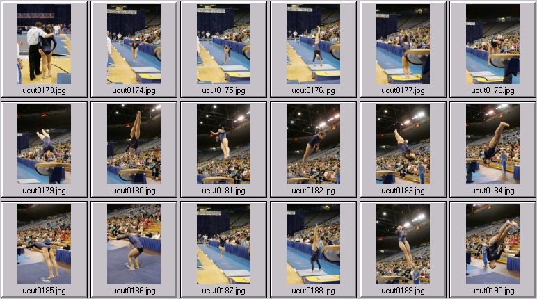 utah women's gymnastics