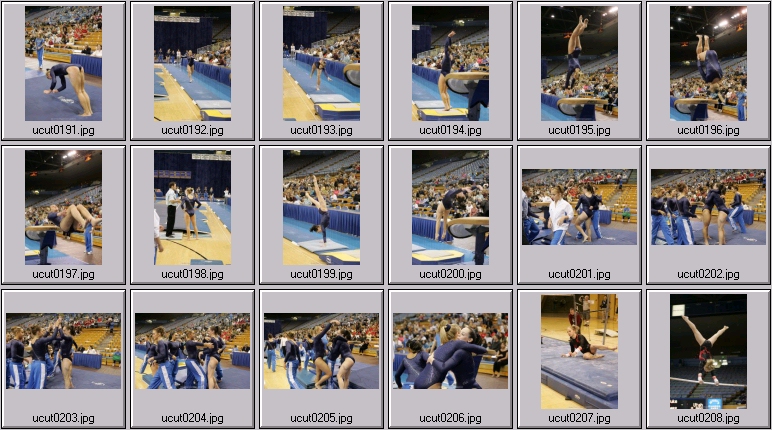 utah women's gymnastics