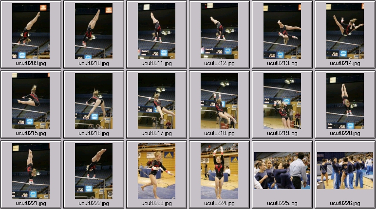 utah women's gymnastics