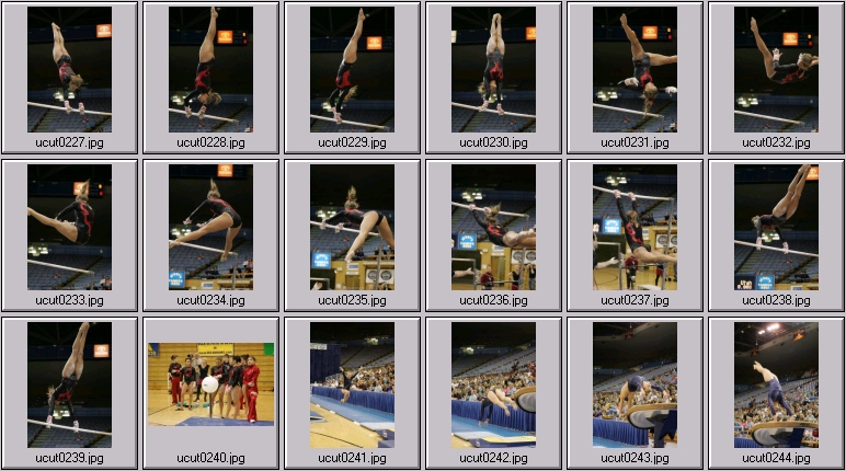 utah women's gymnastics