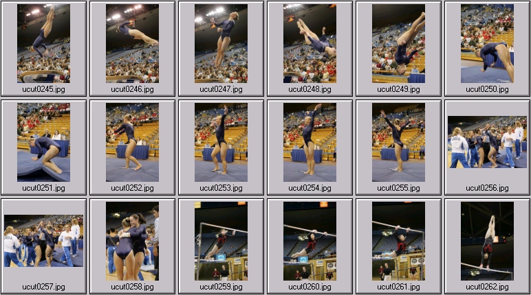 bruins women's gymnastics