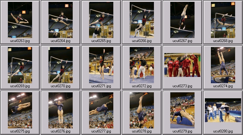 bruins women's gymnastics