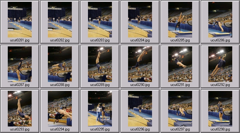 bruins women's gymnastics