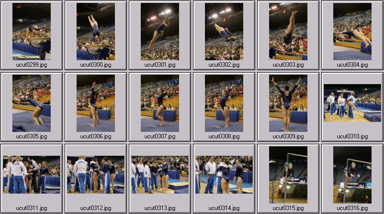 bruins women's gymnastics