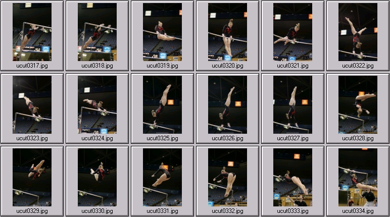 bruins women's gymnastics