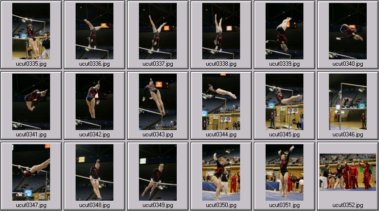 bruins women's gymnastics