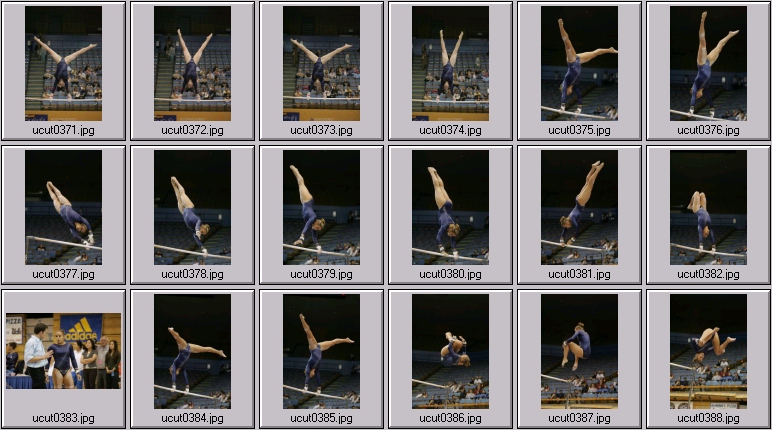 bruins women's gymnastics