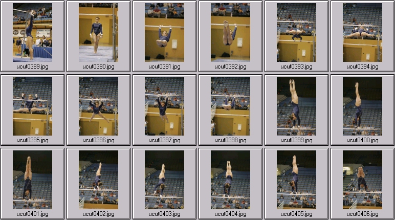 bruins women's gymnastics