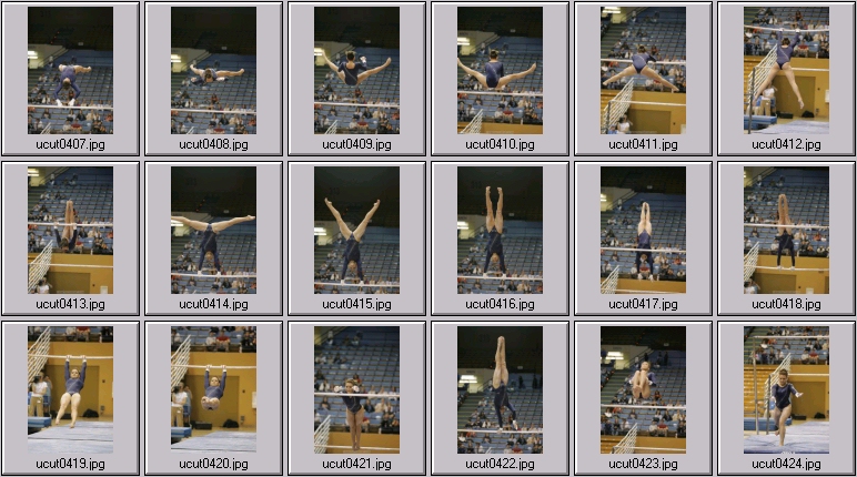 bruins women's gymnastics