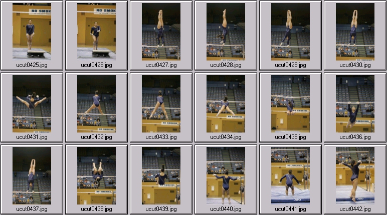 bruins women's gymnastics