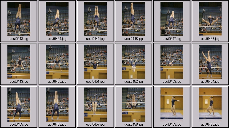 utah women's gymnastics