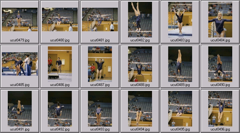 utah women's gymnastics