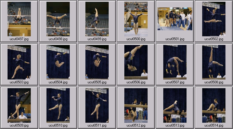 ucla bruins women's gymnastics