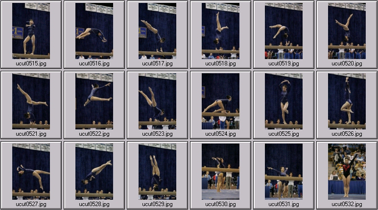 ucla bruins women's gymnastics