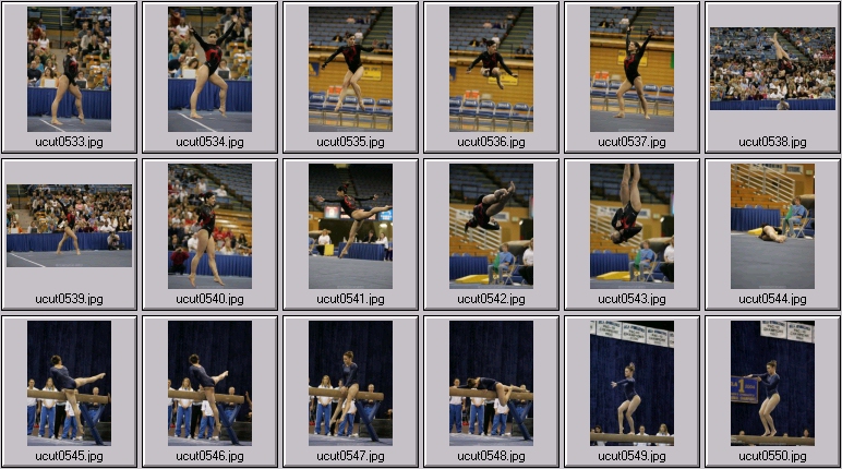 utah utes women's gymnastics