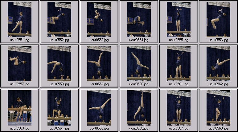 utah utes women's gymnastics